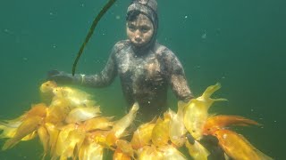 5 JAM MENYELAM BERBURU IKAN RED DEVIL DI DANAU TOBA  MISI MENYELESAIKAN TANTANGAN DARI SUBSCRIBER [upl. by Hanikahs]