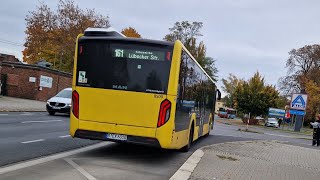 Bus Berlin  Mitfahrt im kompl 161 von Schöneiche Dorfaue bis S ErknerZOB im MAN EN23 Hybrid 8500 [upl. by Elaen]