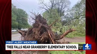 Tree falls near Granbery Elementary School [upl. by Worth]