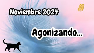 Noviembre agonizando [upl. by Narik]