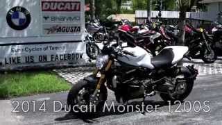 2014 Ducati Monster 1200S White at Euro Cycles of Tampa Bay [upl. by Oberheim]