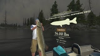 Rapala Pro Series Fishing  Where the Legendary Northern Pike Spawns On Rainy Lake [upl. by Eintihw]