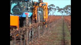 Pellenc TRV60 with Visio Pruning Machinewmv [upl. by Jollanta836]