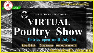 Coturnix Corner LIVE  Virtual Poultry Show  with Bre Patz [upl. by Nawor999]