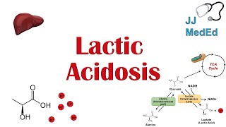 HOW TO USE LACTIC ACID  The Ordinary amp MORE FROM SKINSTORECOM  Dr Dray [upl. by Anitselec]