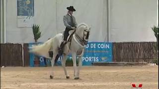 PRIMER CAMPEONATO DE ESPAÑA DE ALTA ESCUELA ESPAÑOLA [upl. by Ymmij]