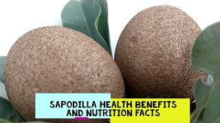 Sapodilla Health Benefits and Nutrition Facts [upl. by Ylenaj]