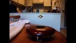 Magnetic Levitation Fun With Magnets [upl. by Nimzaj]