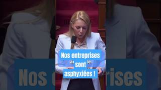 Les entreprises sont asphyxiées par les macronistes [upl. by Map]