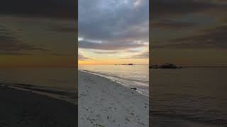 Balicasag Island Bohol viralvideo [upl. by Ahsocin]