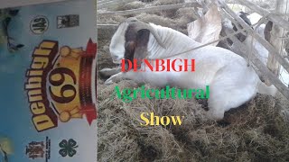 Denbigh Agricultural Show Day 2 [upl. by Declan]