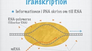 Transkription gammal [upl. by Bissell]