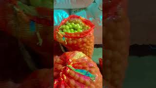 Patanjali herbal Amla Indore Mandi short video trending song Apna time aayega 🤟🤪🥀🤪🤟 [upl. by Catherina]