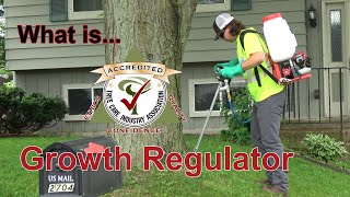 What is a Tree Growth Regulator [upl. by Beckman8]