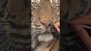 Hyperrealistic Tiger portrait on Silk silkpainting hyperrealisticart tigerportrait painting art [upl. by Burn]