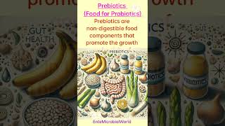 Probiotics amp Prebiotics EnteMicrobialWorld prebiotics probiotics guthealth shortsfeed yt [upl. by Artemisa482]