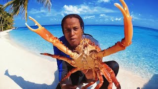 CATCH amp COOK the biggest KING Crab 🦀 I ever seen [upl. by Leumas868]