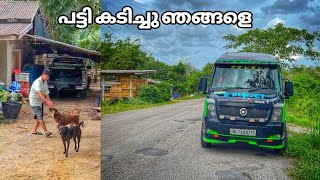 പട്ടി കടിച്ചു [upl. by Velasco]