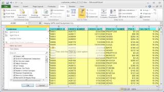 Excel color Filtering by cell or font color [upl. by Leahcimnhoj750]