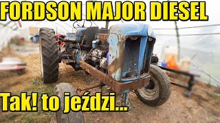 FORDSON MAJOR DIESEL NIE KAŻDA MORDA PASUJE DO FORDA [upl. by Audra437]