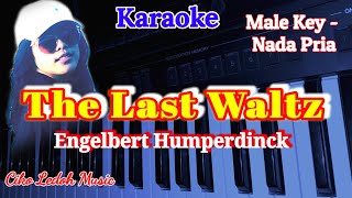 THE LAST WALTZEngelbert HumperdinckKARAOKEMale Key [upl. by Rupert]