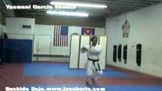 PINAN NIDAN Rengo Kai Jyoshinmon Shorin Ryu Sensei Jesus Costa [upl. by Roinuj]