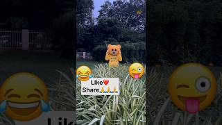 Funny teddy with buffalo 🐃😂😜 teddyboy funny trending comedy viral youtubeshortsindia [upl. by Eninahs]