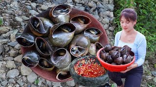 Harvesting Many Snails in the Field Goes To Market Sell Cooking Snail  Nhất New Life [upl. by Nagrom]