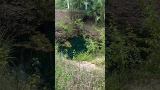 165 acre beautiful farmland for sale in Kinathukkadavu farmlandforsale lowbudgetfarmland [upl. by Olympia]