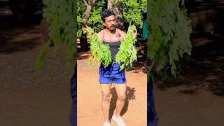 Diet plan Ideas tamil  Healthy Life style  Sathish fitness tamil [upl. by Uel]