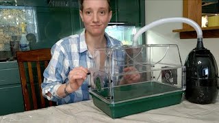 Building a small mushroom fruiting chamber [upl. by Abigael123]