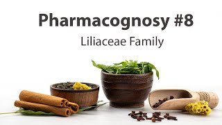 8 Liliaceae Family  Pharmacognosy [upl. by Rinee]