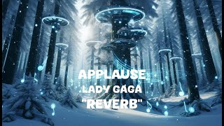 Lady Gaga  Applause Reverb Lyrics [upl. by Suissac]