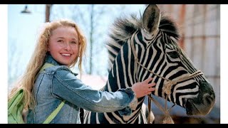 Racing Stripes Full Movie Fact amp Review in English  Bruce Greenwood  Hayden Panettiere [upl. by Bathsheba390]