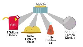 Understanding Ethanol CoProducts [upl. by Felike822]