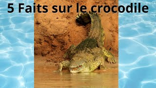 crocodile 5 Faits sur les crocodiles [upl. by Anas]