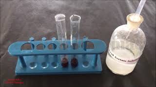 Phytochemical Test for Tannins  Identification Test for Tannins  टेनिन का टेस्ट कैसे करते है [upl. by Niwrehs]