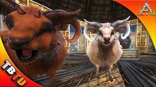 OVIS TAMING NEW DINO PEN ARK S SHEEP HERDER ARK SCORCHED EARTH Gameplay  Ovis Breeding [upl. by Enaira]