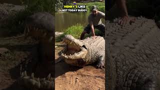 World’s Oldest Dinosaur Crocodile 124 Years Old Alligator With Over 10000 Babies [upl. by Ocihc785]