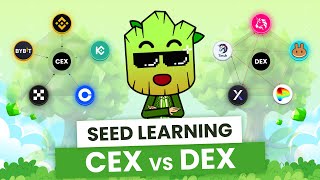 CEX vs DEX How to Choose the Best Exchange for your Crypto  SEED Learning 8 [upl. by Aerda]