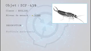 EPISODE 9  SCP439  La ruche osseuse [upl. by Siuqram]