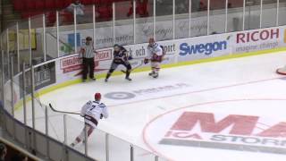 highlights Vita Hästen  LHC [upl. by Liebowitz]