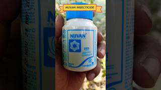 Nuvan Insecticide Use 👇 [upl. by Ahsinad]