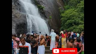 COURTALLAM OLD FALLS RAINING SESSION 2024 🌧️🌧️😍😍  Ml Tamils [upl. by Ielhsa]