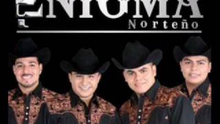 enigma norteno elondeado ylapecheraajustada [upl. by Kimitri]