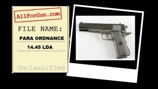 45ACP Pistols PART 1 Para Ordnance 1445 LDA [upl. by Dnalloh]