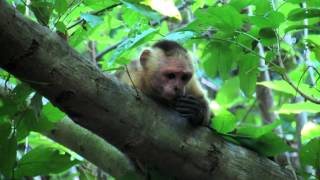 Tayrona Natural Park  Where Nature and Archaelogy Meet in Colombia [upl. by Lanette]