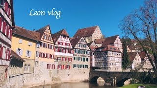 VLOG  독일 시골 자연에서 보낸 편안한 휴일 🇩🇪 [upl. by Gneh671]