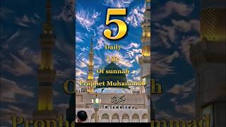 5 daily life of sunnah prophet muhammadyoutubeshorts ytshorts allah prophetmuhammad [upl. by Saidnac464]