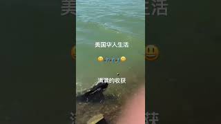 海外华人 海外生活 fishing 美国华人 美国生活vlog 钓鱼 钓鱼分享 钓鱼生活 shortvideo short [upl. by Llemert878]